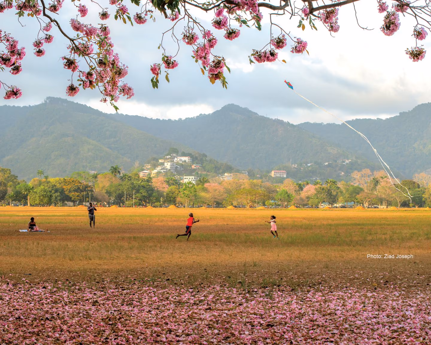 Flying Kites in the Queen's Part Savannah, Trinidad