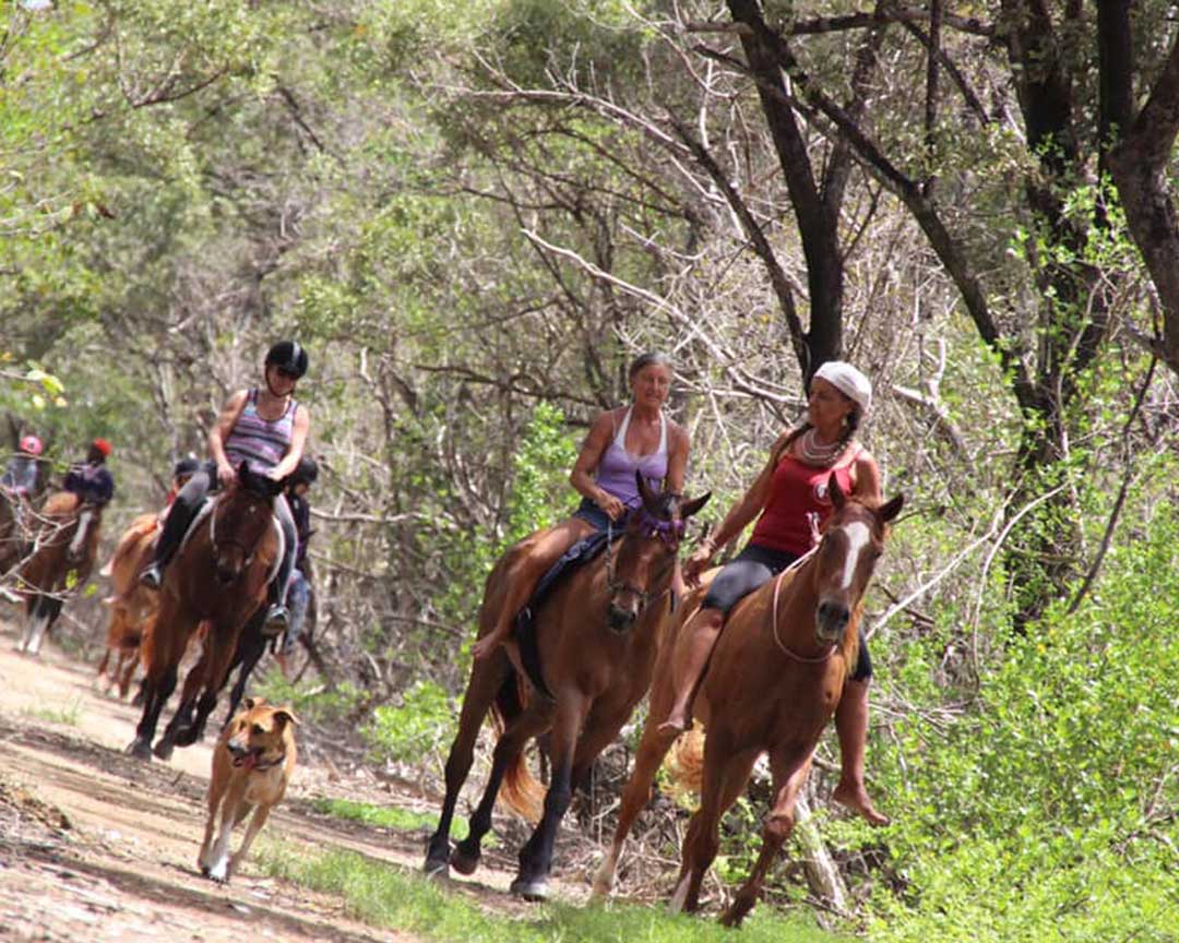 Healing with Horses