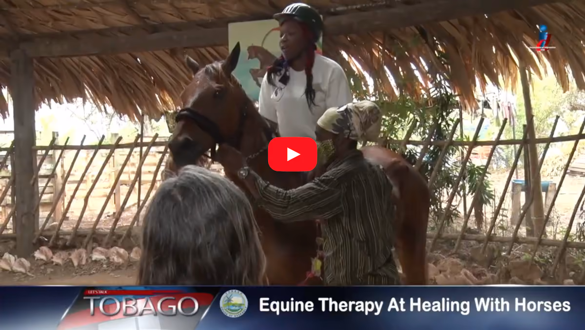 Healing with Horses