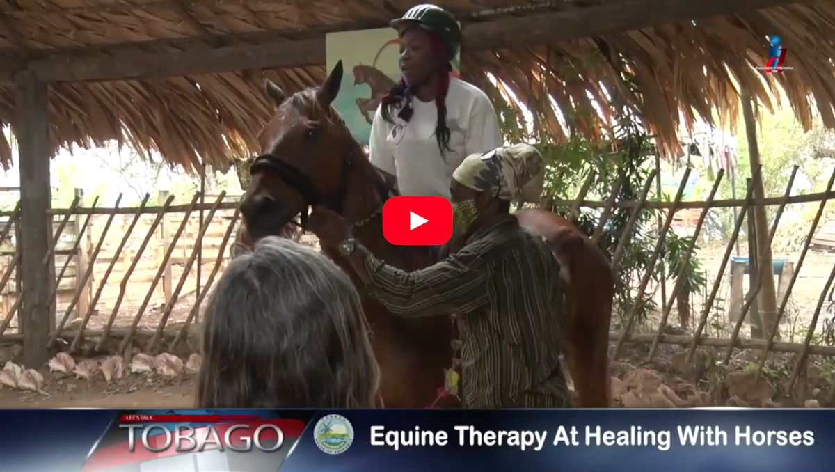 Healing with Horses