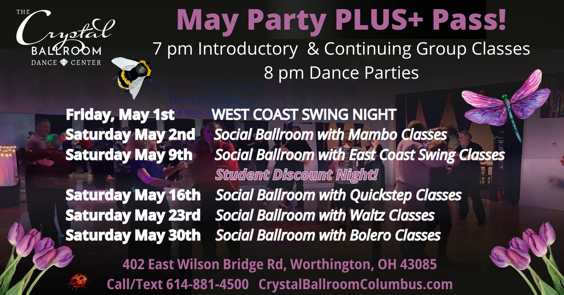 May Party Plus+ Weekly Dance Parties and Classes - May 30