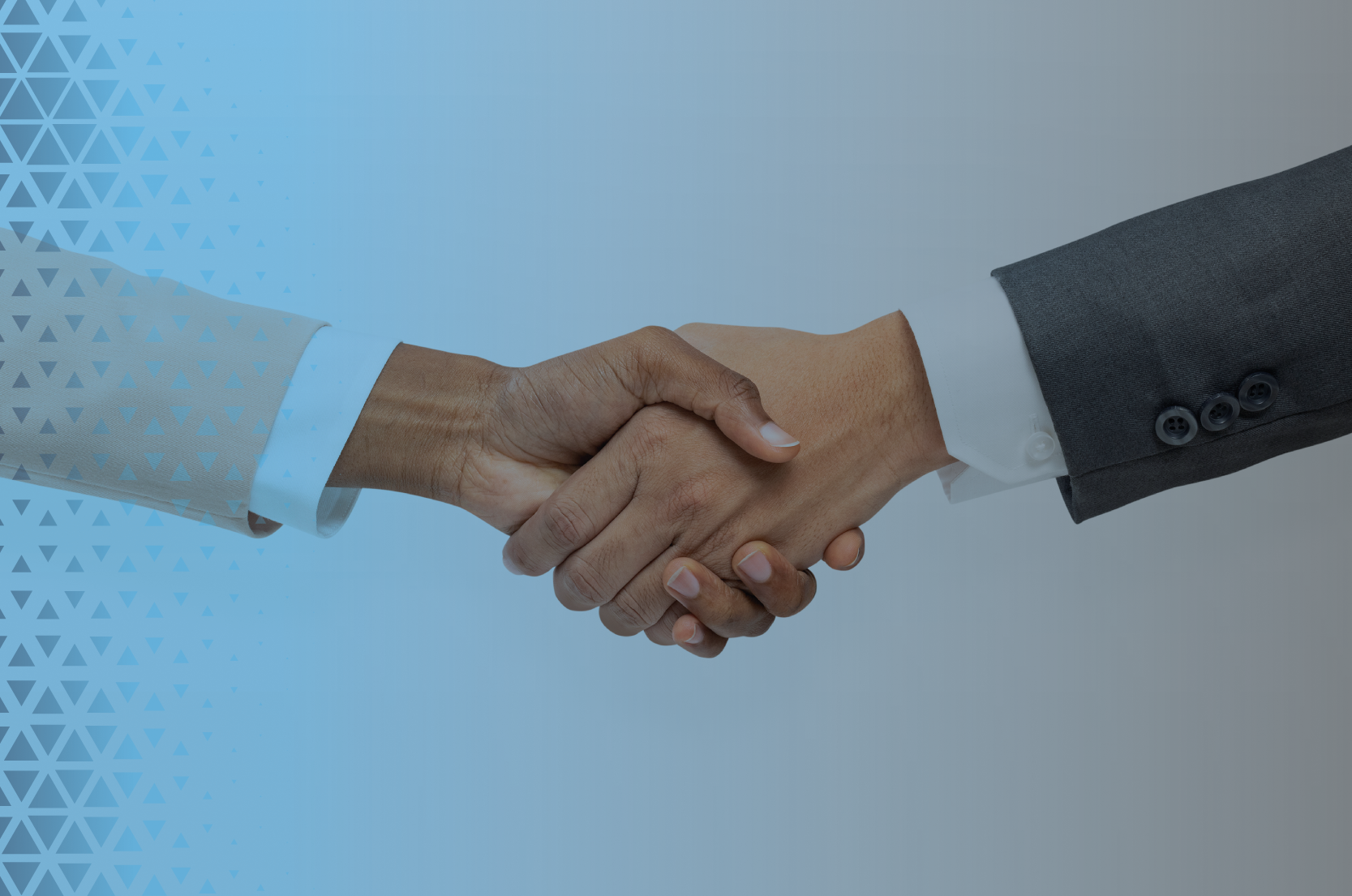 Conexões que Transformam: Aqua lança programa para parceiros e agências