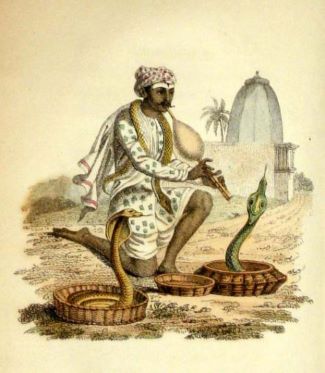 The Snake Charmer: A Reclamation of Exoticised Colonial India – Anisha Parmar Studio
