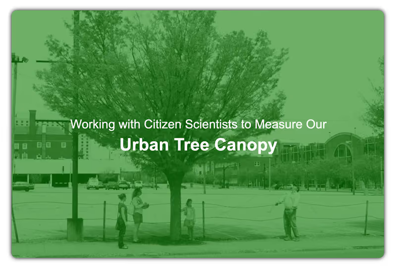 2013 Downtown Tree Survey Link