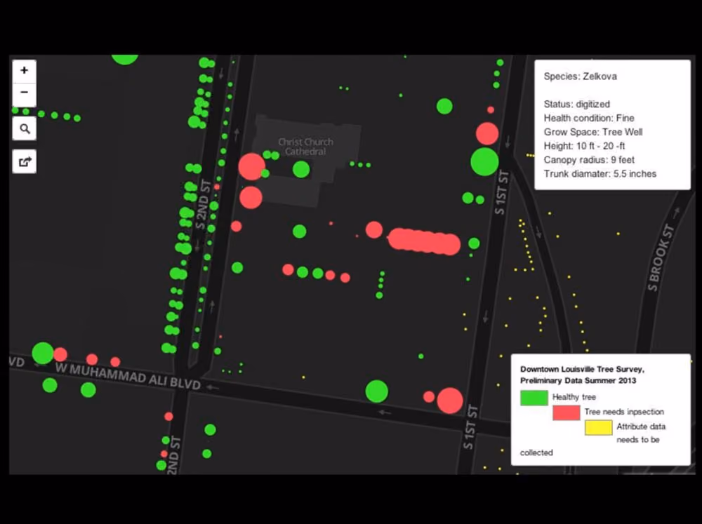 downtown tree survey slide 7