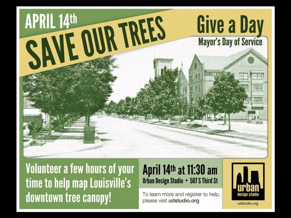 downtown tree survey slide 4