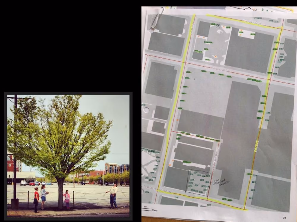 downtown tree survey slide 6