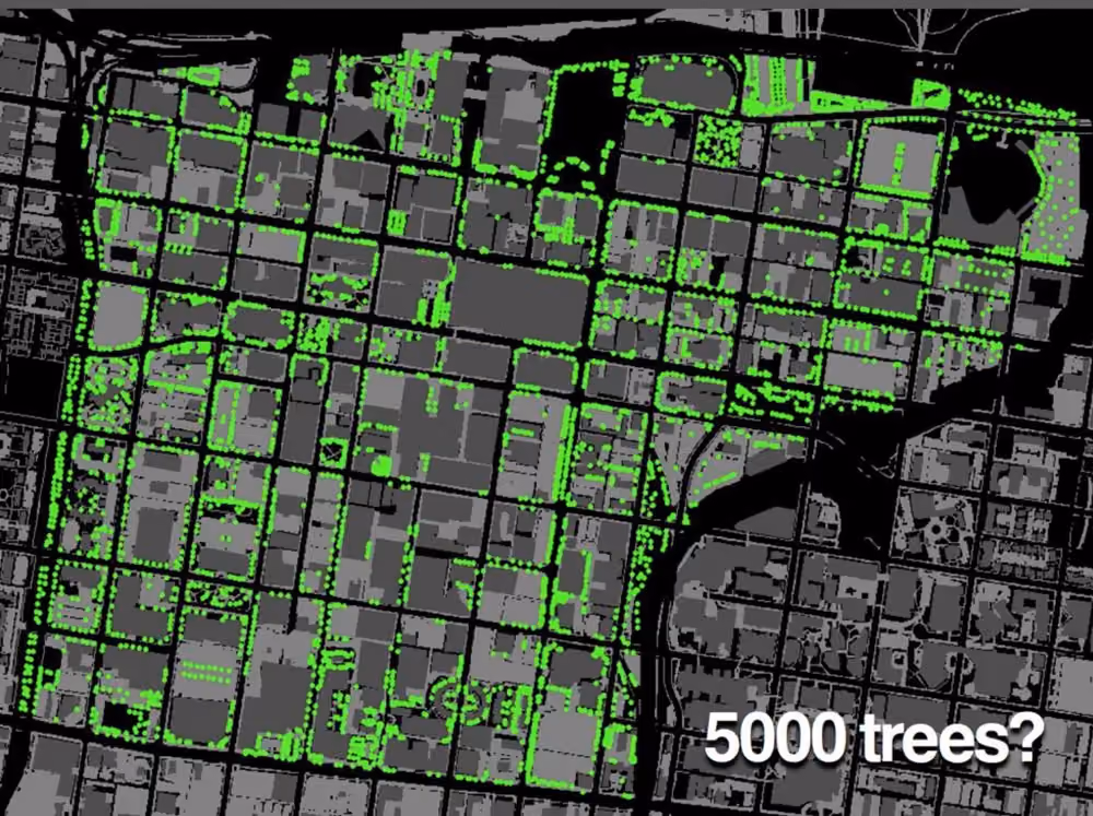 downtown tree survey slide 8