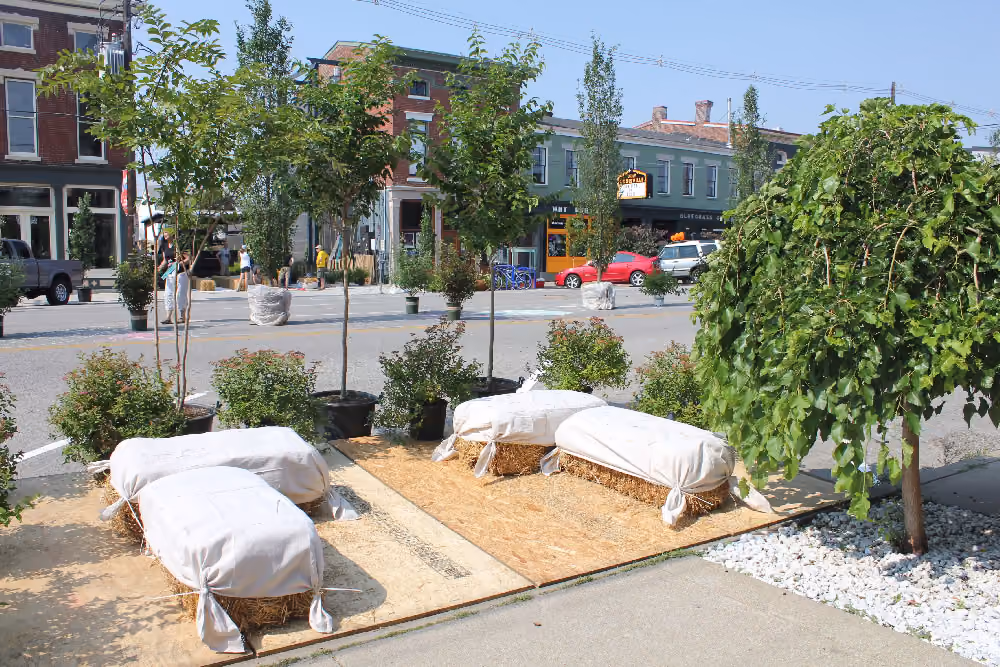 temporary curb extension, plantings and seating