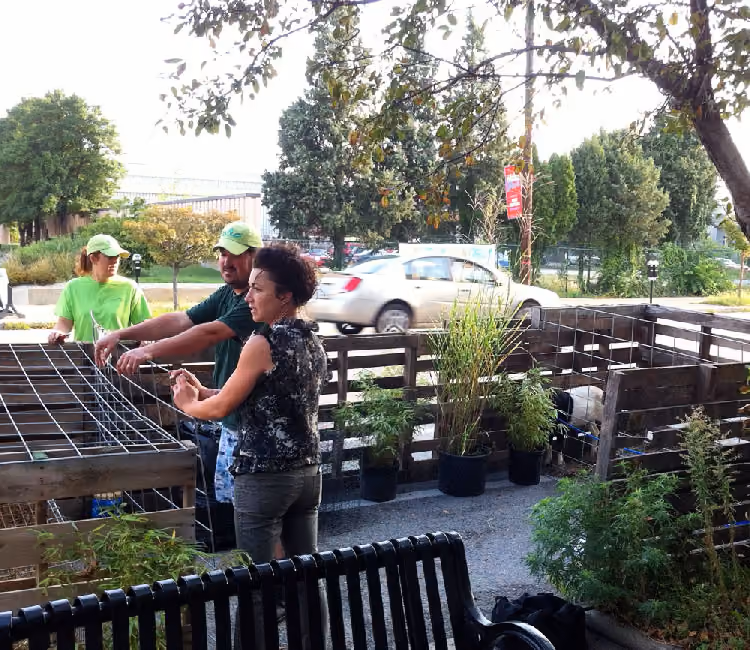 Goats in a parklet during 2013 Park(ing) Day