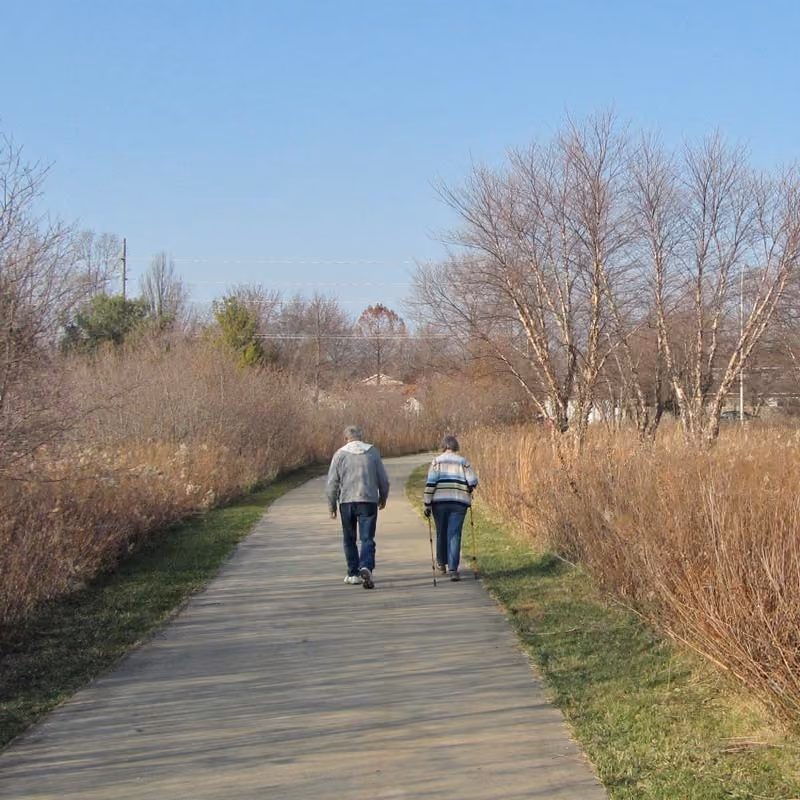 people walking on park path