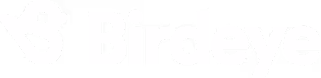 Birdeye company logo with stylized bird icon and text.