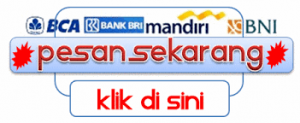 cara pemesanan dedi shop
