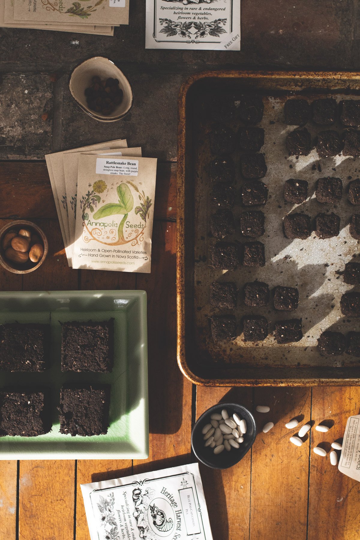 An arrangement of soil blocks, seed packets and seeds