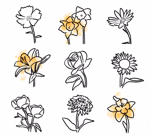 Quill Brand Activation - Define your target audience