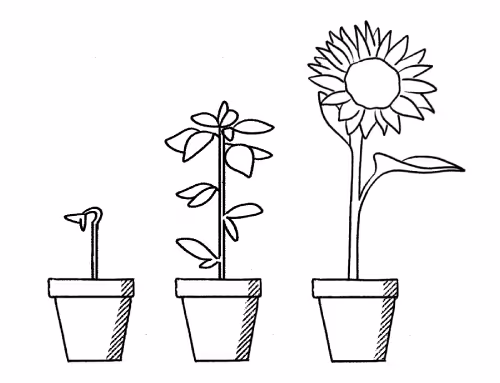 Quill Brand Activation - Measure success and adjust your strategy