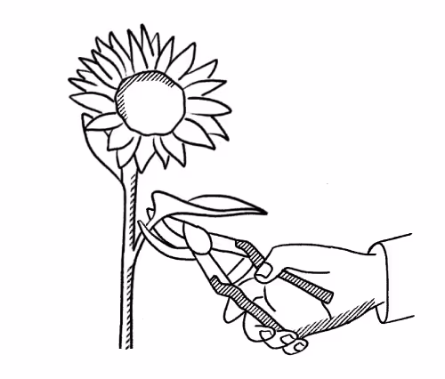 Quill Brand Activation - Improve brand perception