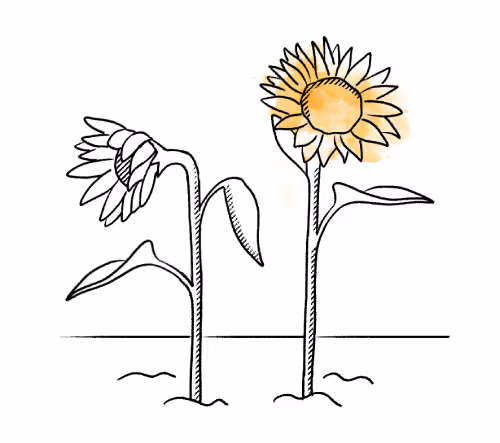 Quill Brand Activation - Increase brand awareness