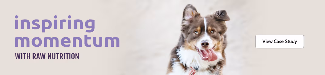 Momentum brand strategy thumbnail