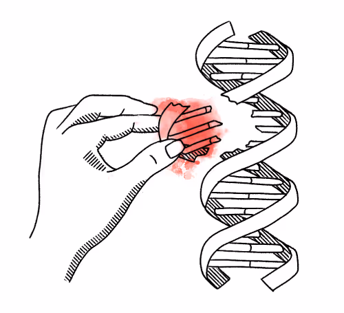 Quill Brand Identity - Consistency