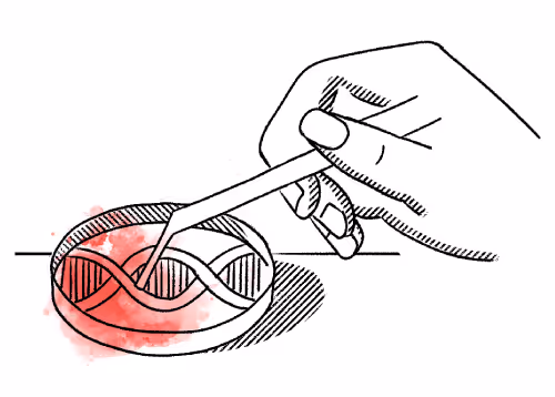 Quill Brand Identity - Design & Document your brand