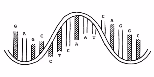 Quill Brand Identity - Hone your unique brand personality