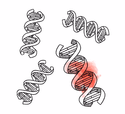 Quill Brand Identity - Don't Copy Competitors