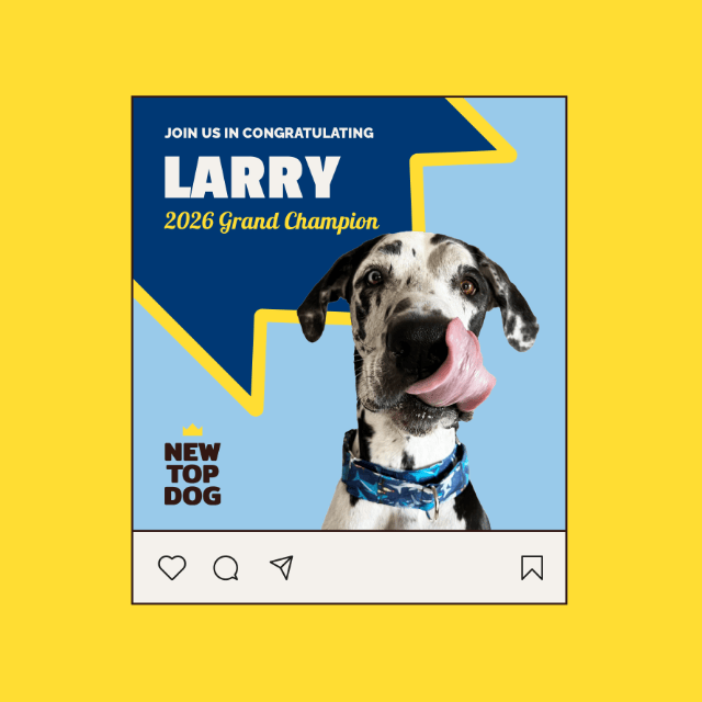 Social media post congratulating Larry as the 2026 Grand Champion New Top Dog, featuring a Great Dane licking its nose against a blue background.