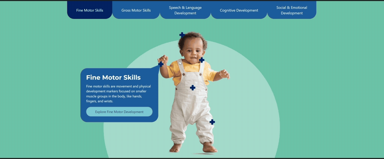 Interactive infographic showing a toddler with labeled areas highlighting fine motor skills focused on smaller muscle groups like hands, fingers, and wrists, with navigation tabs for different types of development.