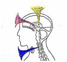 Um exemplo de chackras