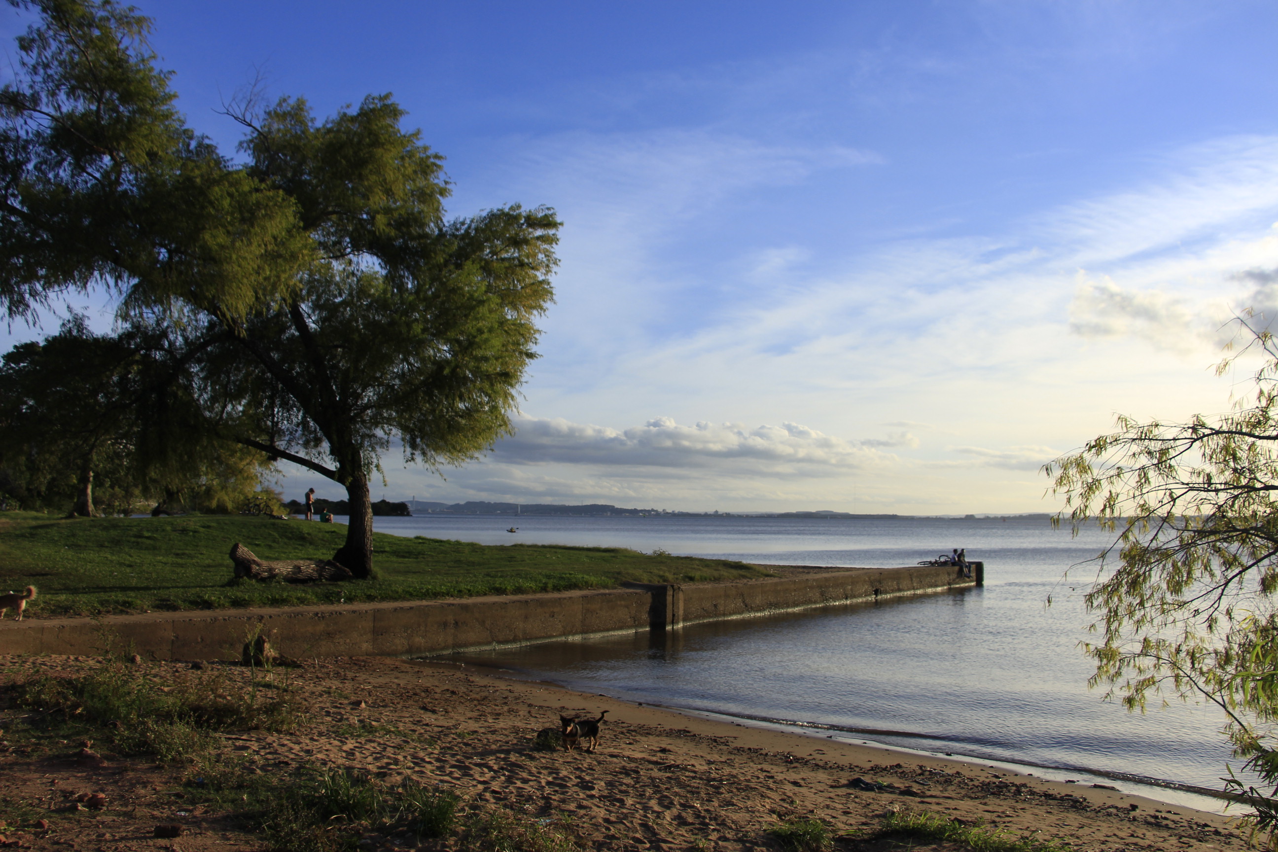 Três são os níveis de vida,
como a árvore ao nascer...