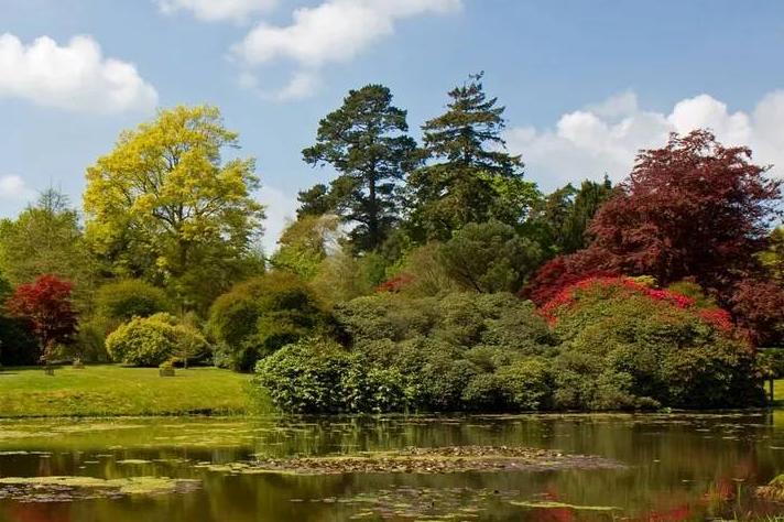 Tu que tens essa mania de ser jardineira... plantas o amor em cada esquina...