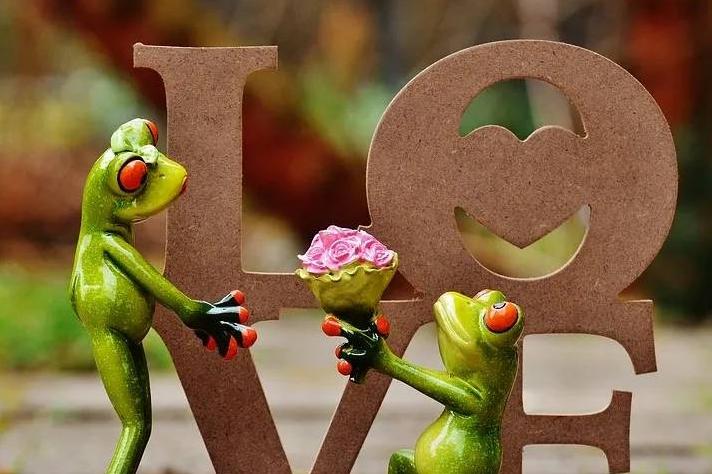 Perdoar... talvez um dos maiores desafios da vida que mais envolve amor...