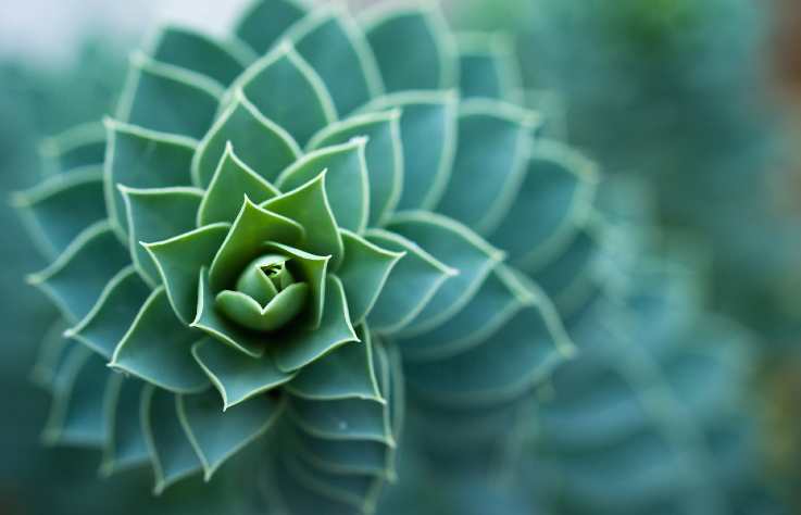 Apresentamos este documentário, produzido por Samuel Benini e o canal Metafisicamente, que aborda o tema: "A ORIGEM - Existência de Deus, Dualidade, A Força Motriz do Universo."