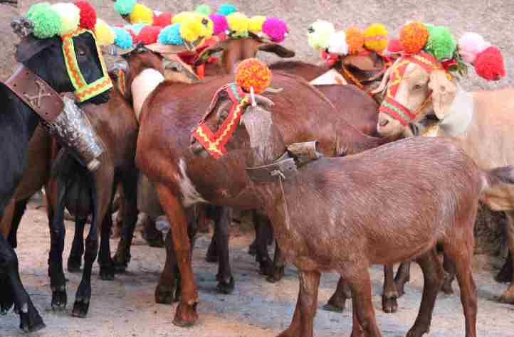 A serra da Estrela e a serra do Montemuro, bem distantes uma da outra, beijam-se com o olhar, sempre que o horizonte seja uma clareira de luz! 