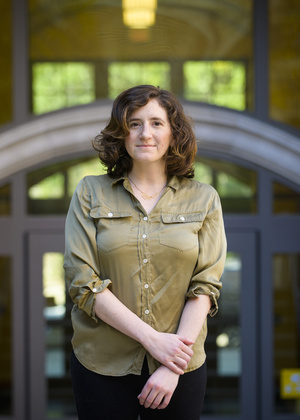 AI Evaluation and the Standards Metaphor