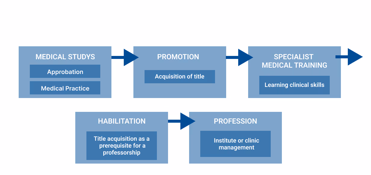 “Graphic shows the medical career path: medical studies with licensure and medical practice, followed by a doctorate (PhD) with title acquisition, then specialist training to gain clinical skills. Further step is habilitation as prerequisite for professorship, ending with professorship and institute or clinic leadership.”
