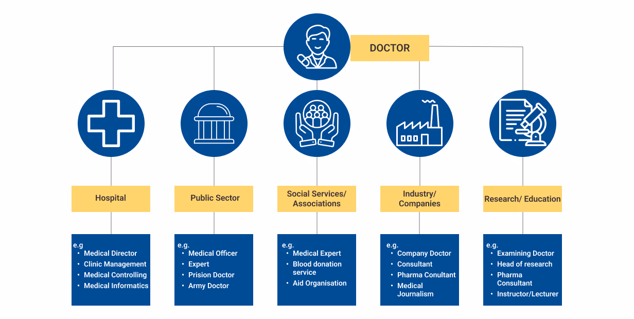 “Graphic shows alternative career paths for physicians: Hospital (e.g. medical director, clinic management), Public Service (e.g. public health officer, military doctor), Social Services and Associations (e.g. blood donation service, aid organizations), Industry/Companies (e.g. company doctor, pharmaceutical consultant), and Research/Teaching (e.g. clinical trial doctor, lecturer).”