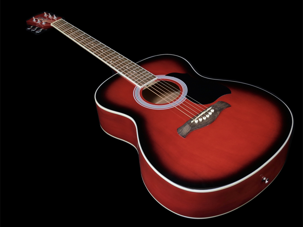 Richwood RA-12 -kitara
