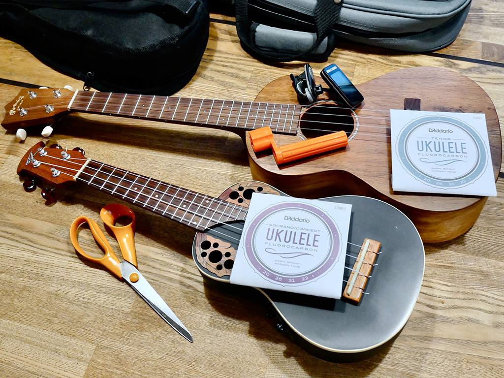 Ukulele ja uudet kielet