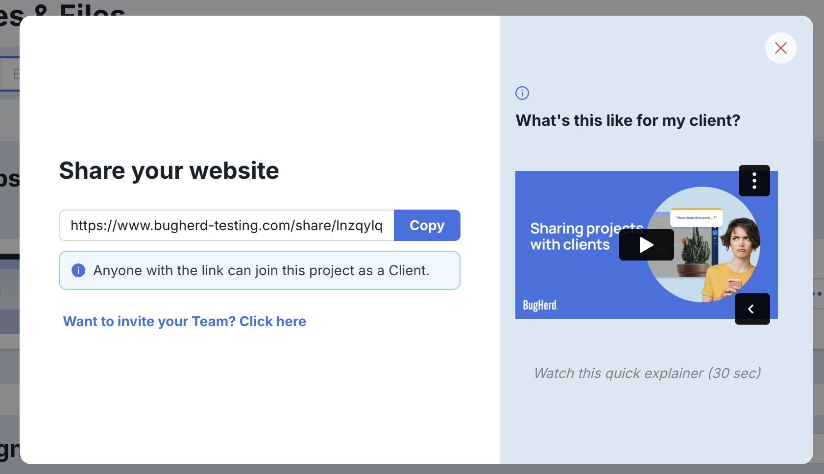 BugHerd point-click-comment ... easy website feedback