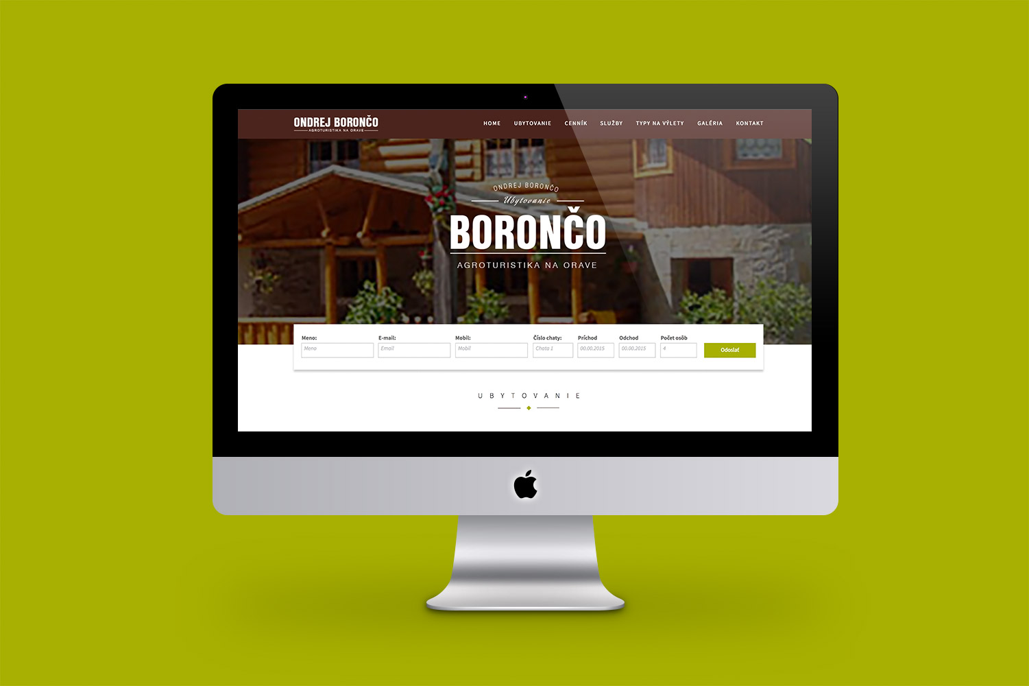Boronco, logo & web design image