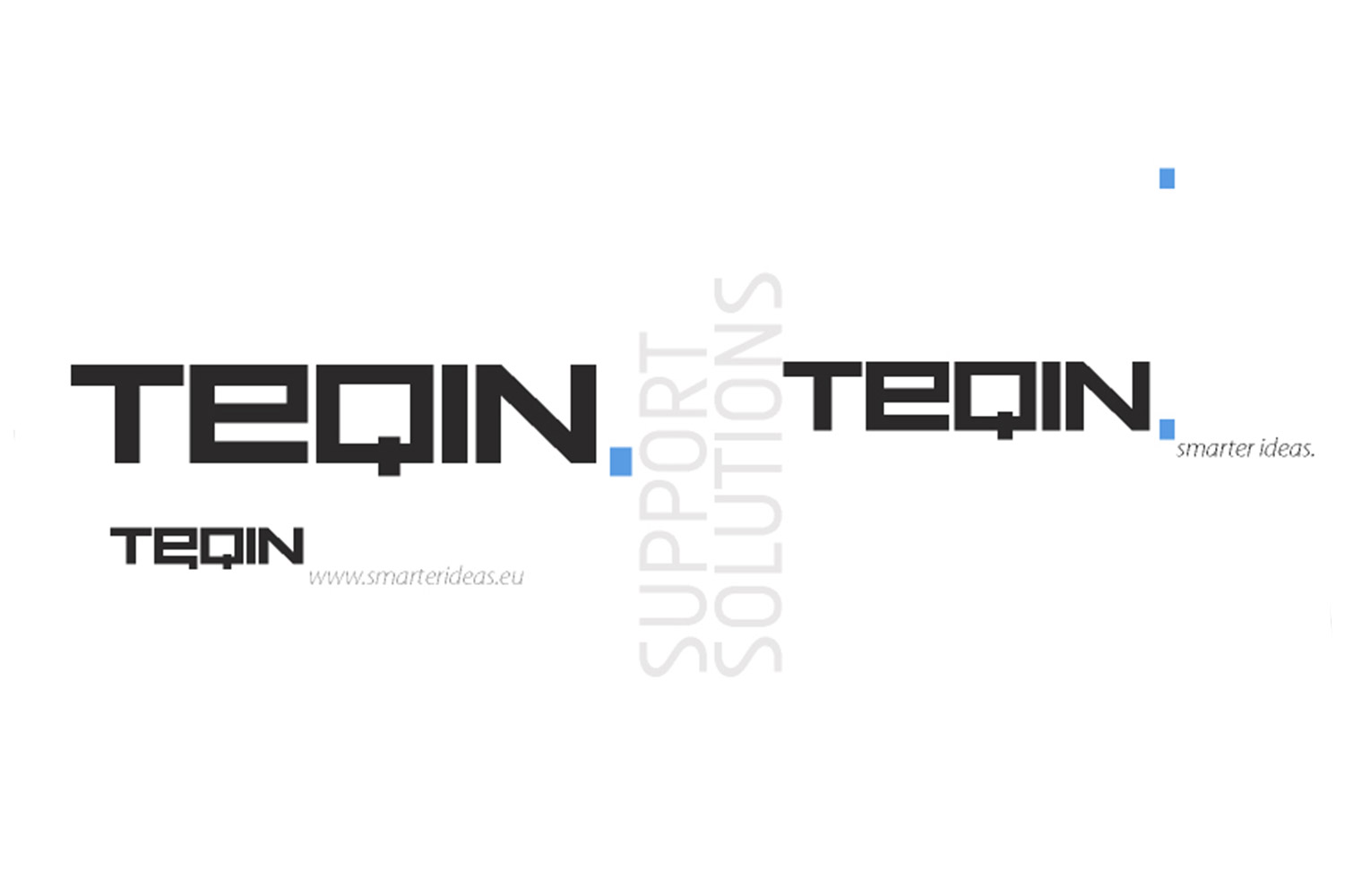 Teqin, Corporate Identity image