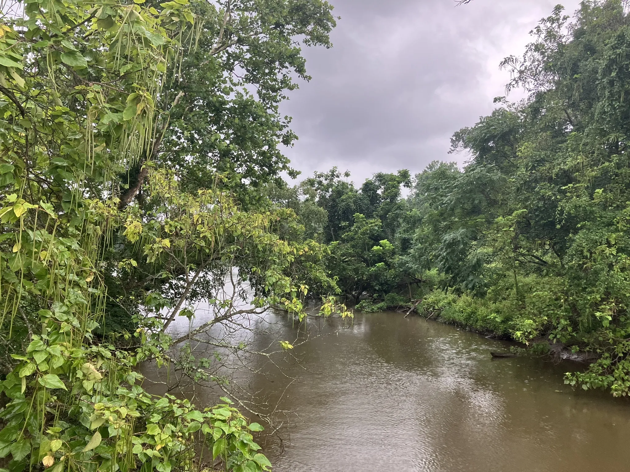 Photo of a trail from Elizabeth Curran with title Kenilworth Aquatic Gardens and Park