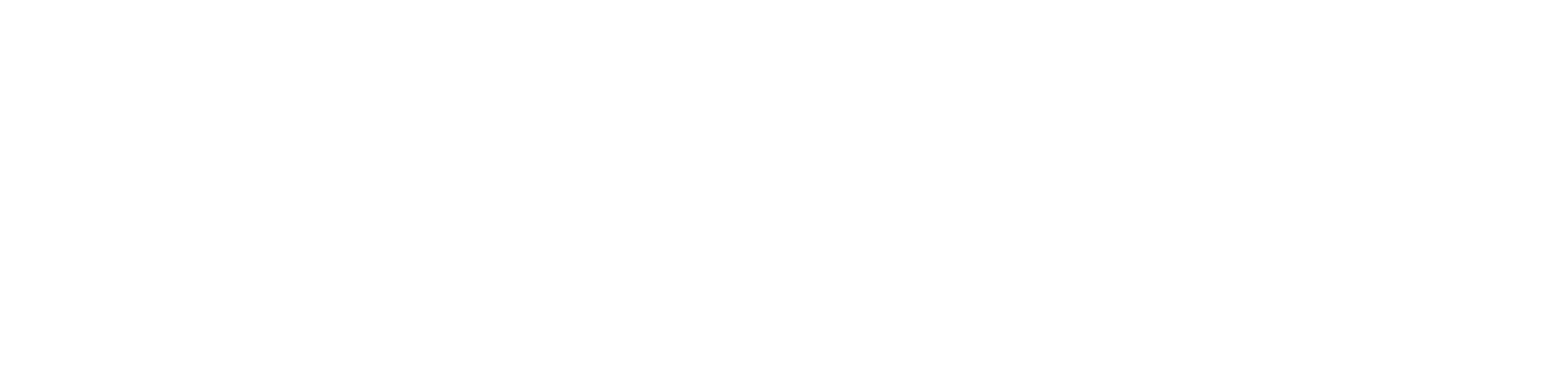 Vector Payments partner