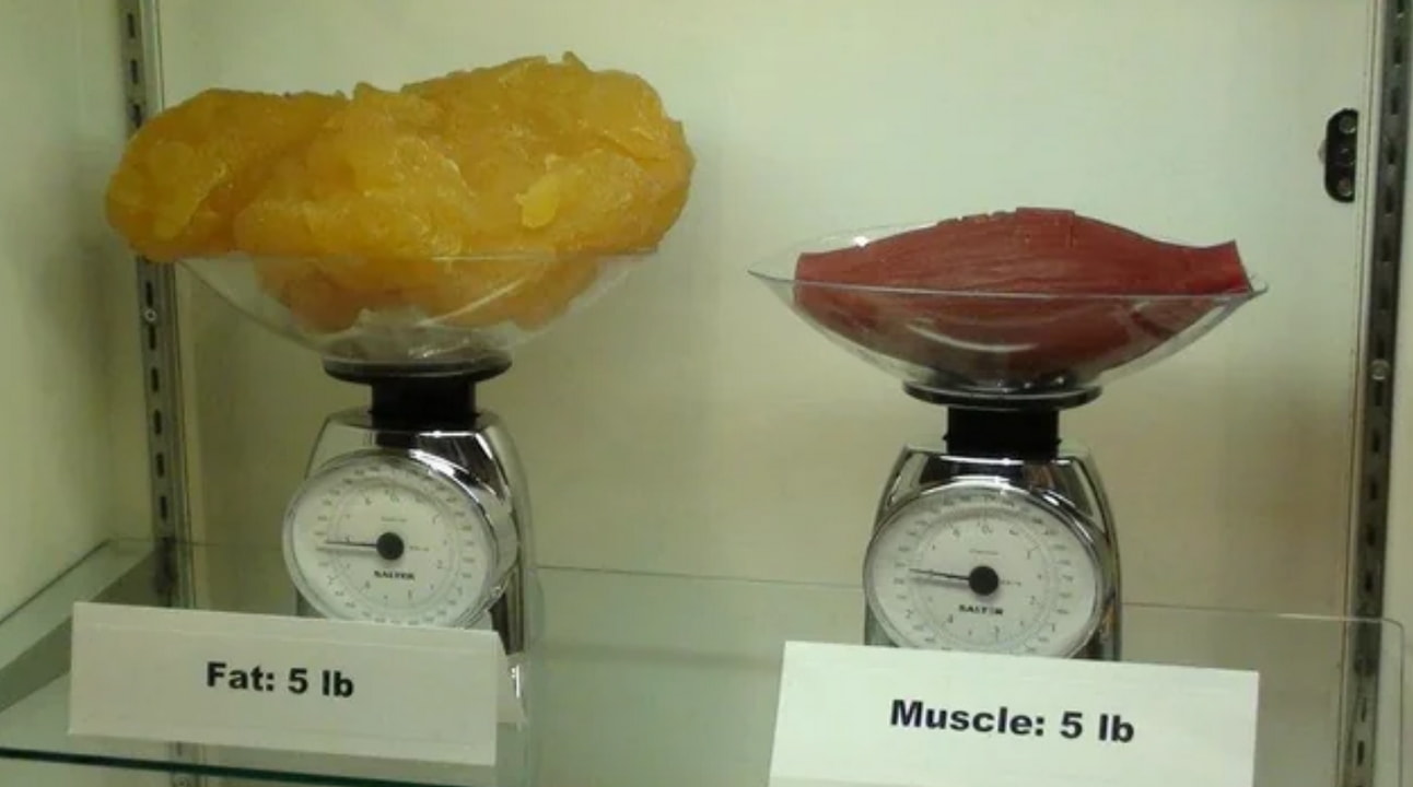 Two scales display various types of meat, highlighting differences in weight and variety. 