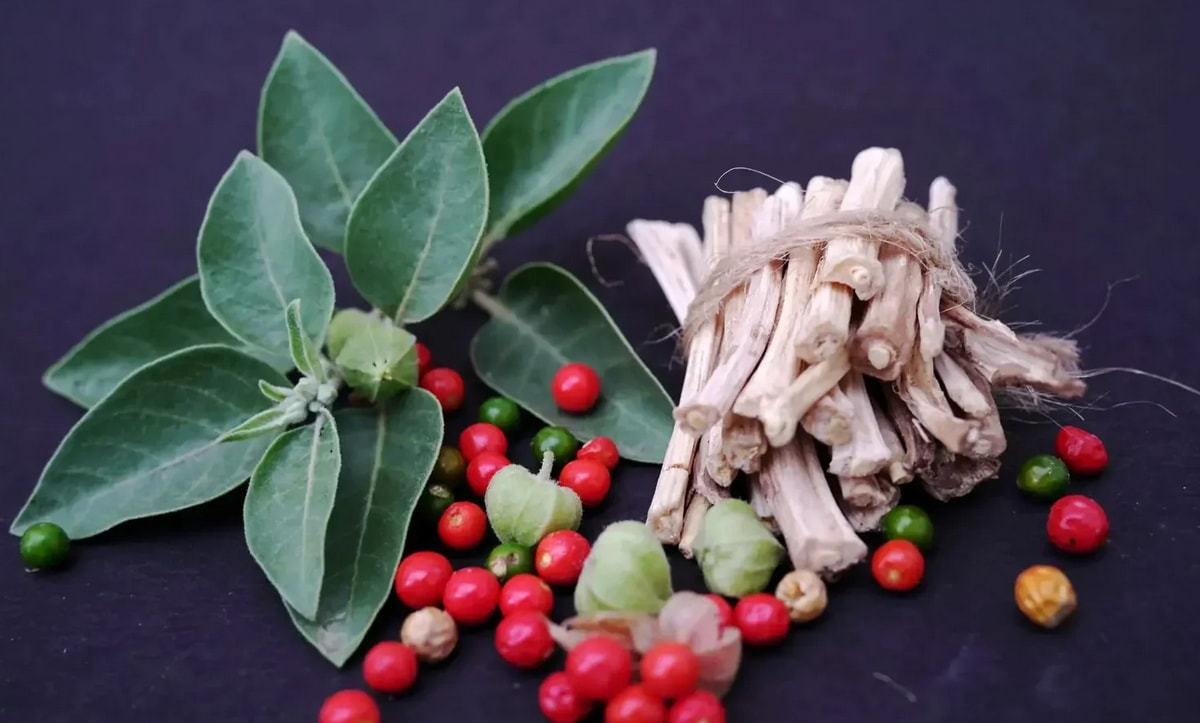 A colorful assortment of herbs and spices arranged in a pile on a smooth black surface.