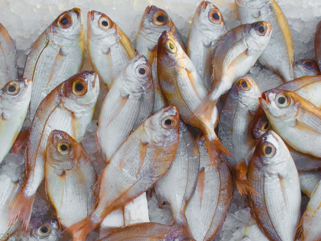 fish on ice in a market, which are a food that's high in collagen