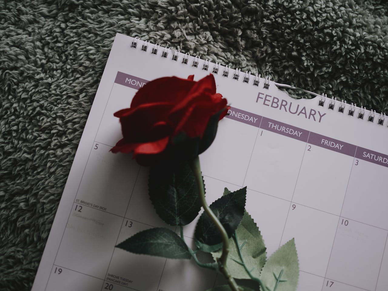 Close-up of a red rose on an open calendar showing February. The scene conveys a romantic tone, hinting at Valentine's Day. The background is a textured, gray surface.