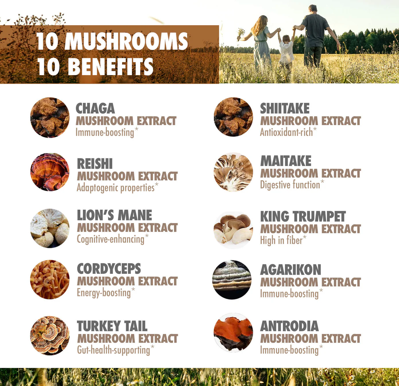infographic showing the benefits of 10 different nootropic mushrooms 